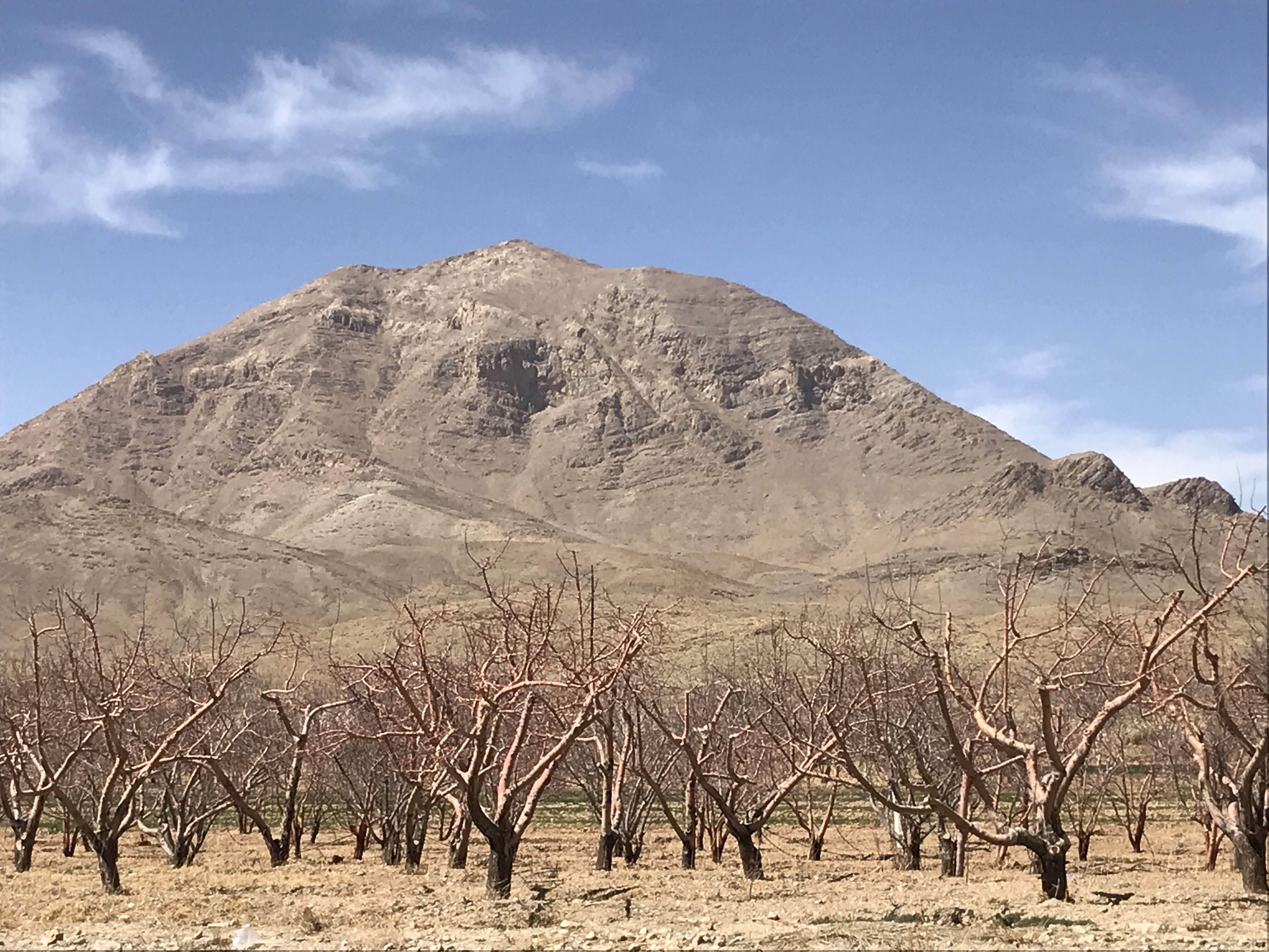 15/3/2018 Serimon Shahreza 85 km